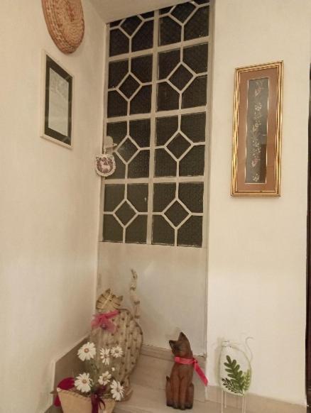 Casa San Carlo Affittacamere Foligno Eksteriør bilde
